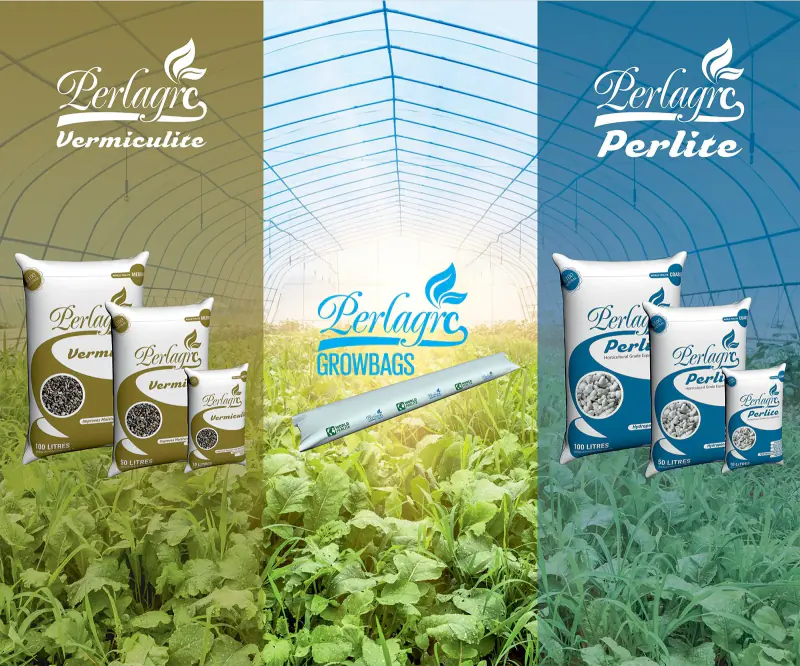 Tellioğlu Perlit Ambalaj & Katalog çalışması — kare 2