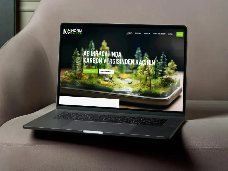 Web Siteleri Web & Dijital çalışması — kare 13